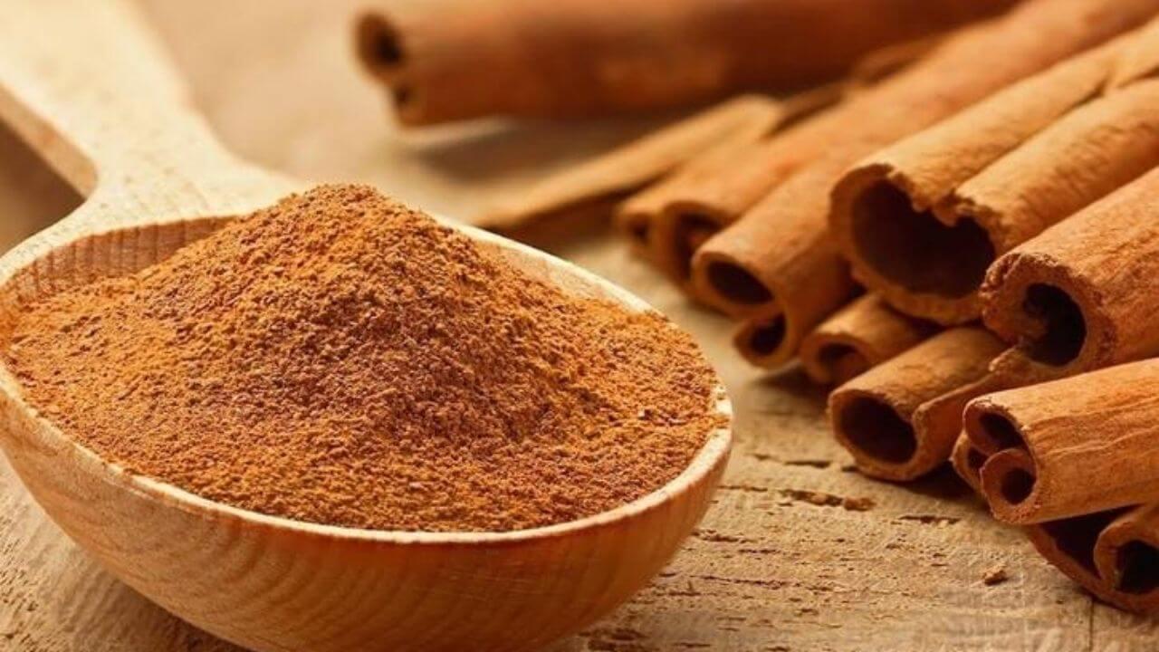 सिर्फ एक चुटकी दालचीनी से बदल सकती है किस्मत, दूर होंगे वास्तु दोष और बरसेगा पैसा