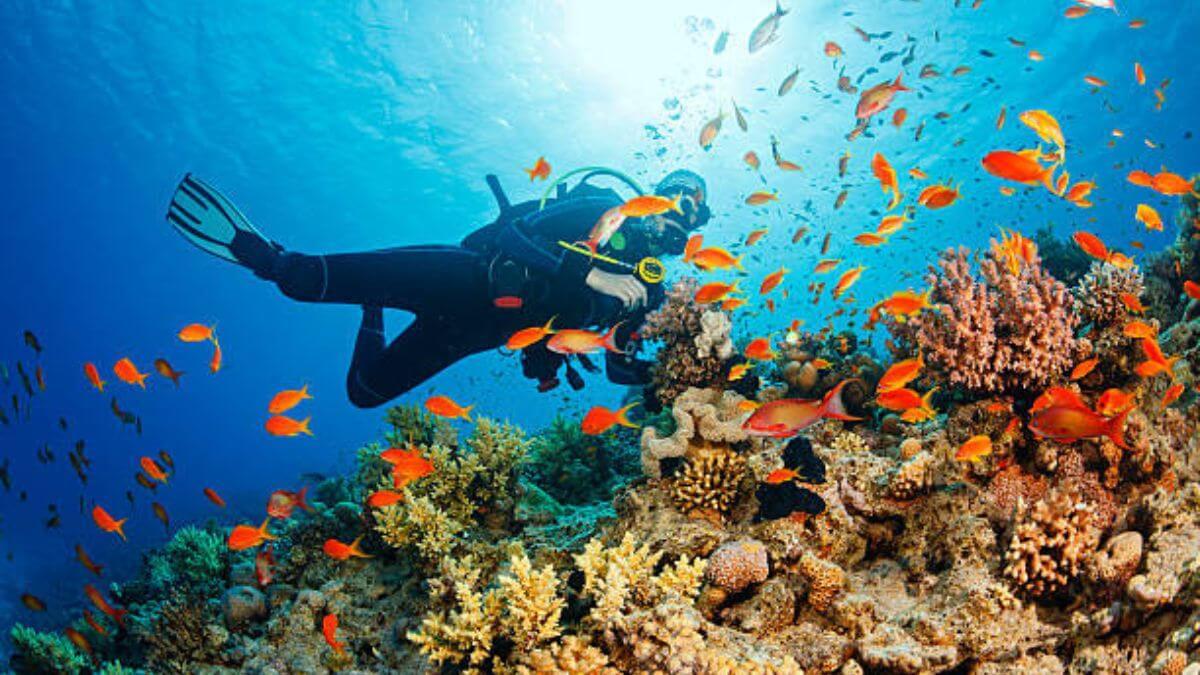 पहाड़ों पर ही नहीं समुद्र में भी करें एडवेंचर, Scuba Diving के लिए बेस्ट हैं ये 3 जगह