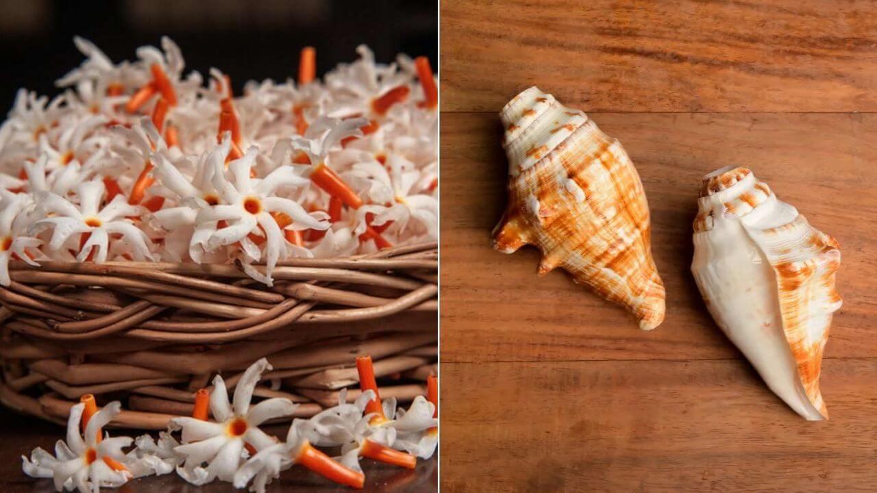 सावन के महीने में घर ले आएं समुद्र मंथन से निकली ये 5 चीजें, मजबूत होगी आर्थिक स्थिति