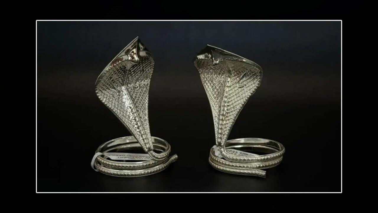 कालसर्प दोष से राहत पाने के लिए नाग पंचमी को माना जाता है खास, ये चीजें चढ़ाने से खुल सकते हैं भाग्य के दरवाज़े