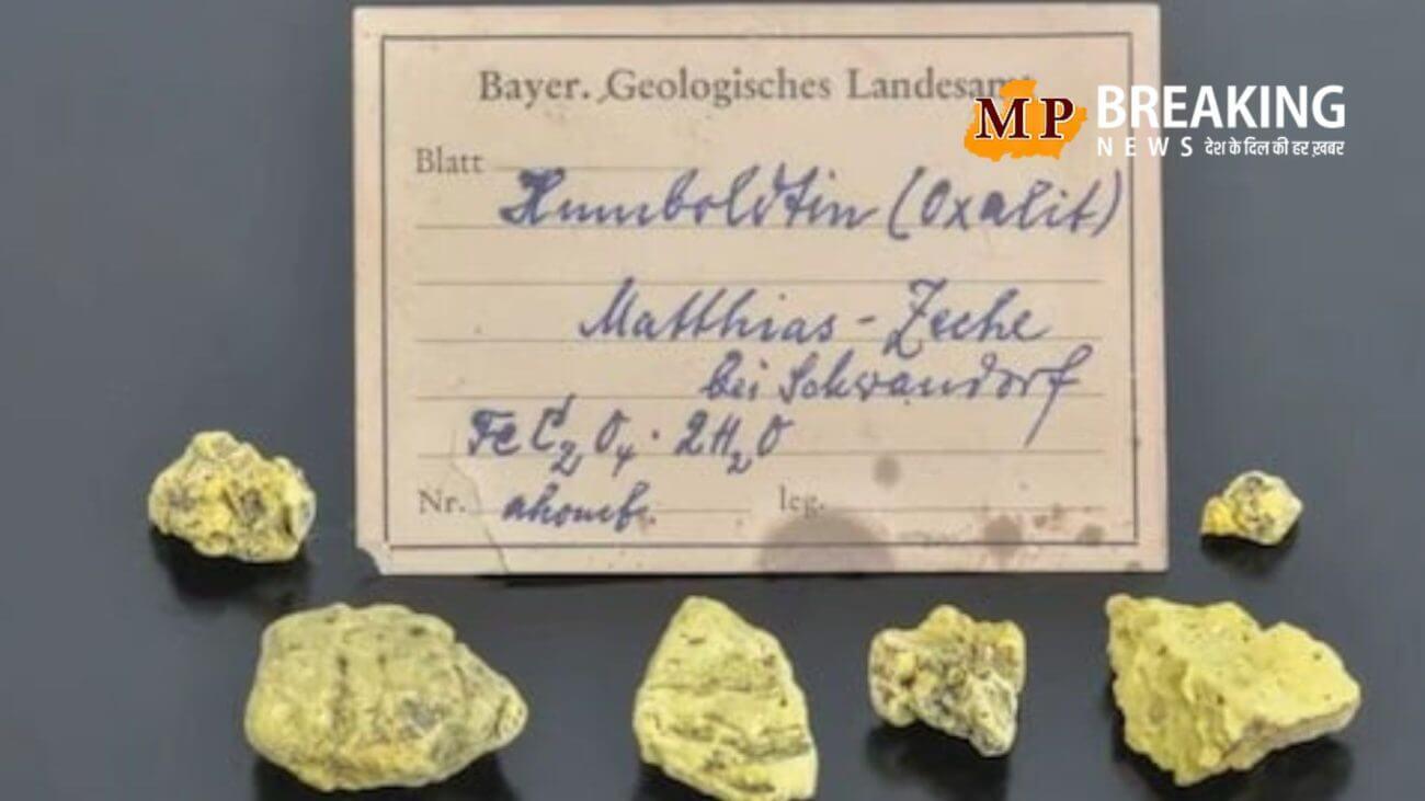 जब एक कागज के टुकड़े ने बना दिया देश को मालामाल! पत्र में बताए गए जूते के डब्बे ने खोले कई राज