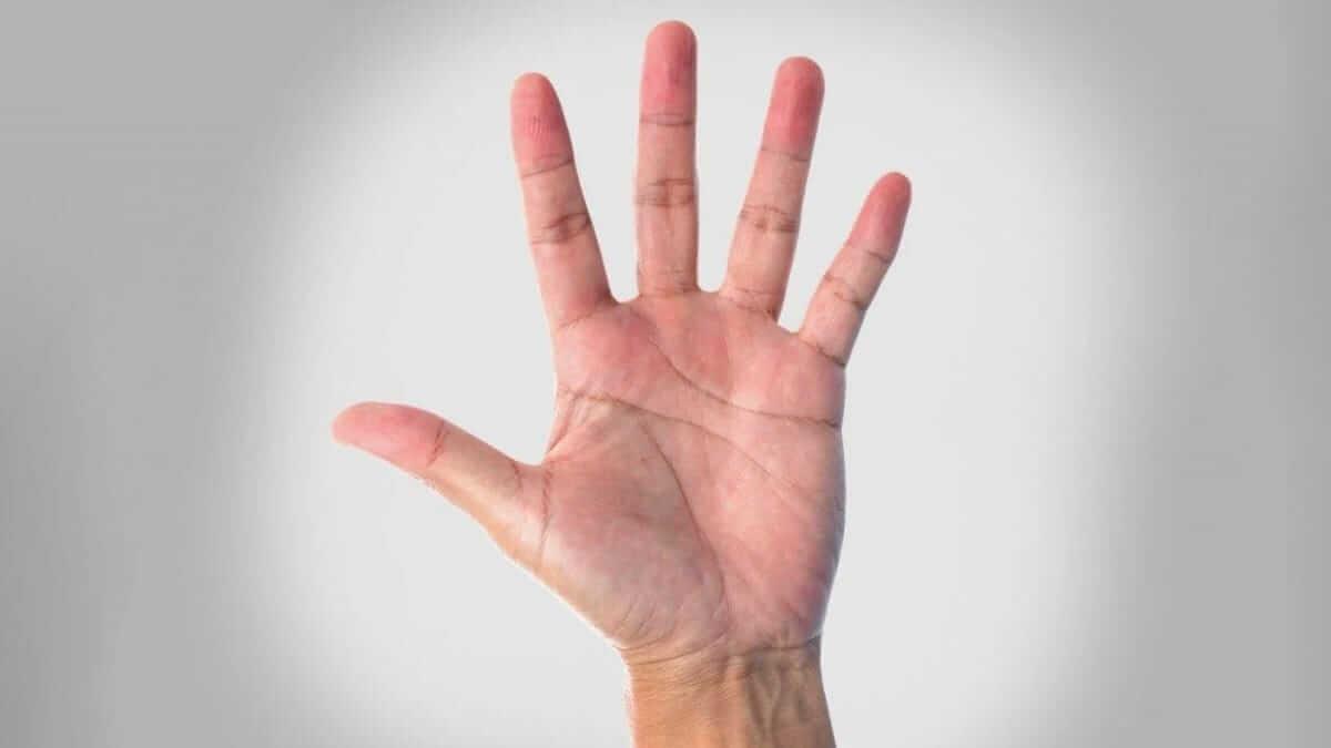 Personality Test: हथेली की बनावट में छुपे हैं दिल के सारे राज, आकार से जानें व्यक्ति का स्वभाव