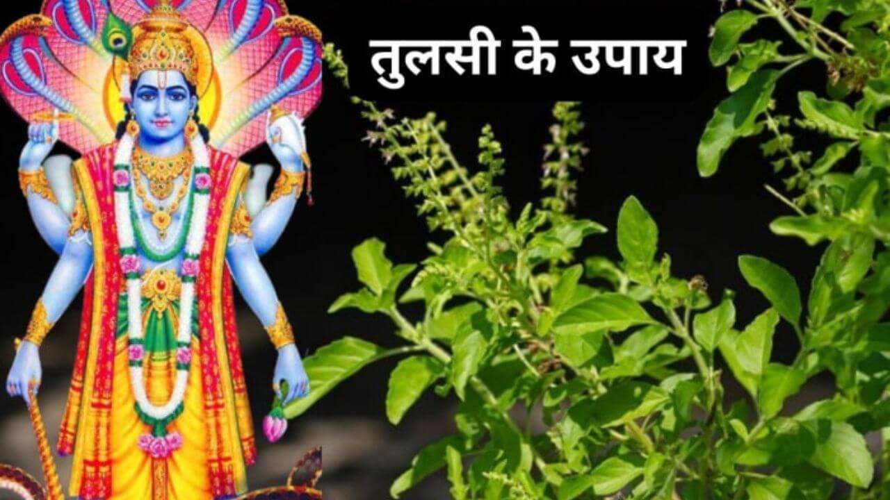 देवशयनी एकादशी पर करें तुलसी के 3 उपाय, खुशियों से भर जाएगा जीवन, पूरी होगी हर मनोकामना