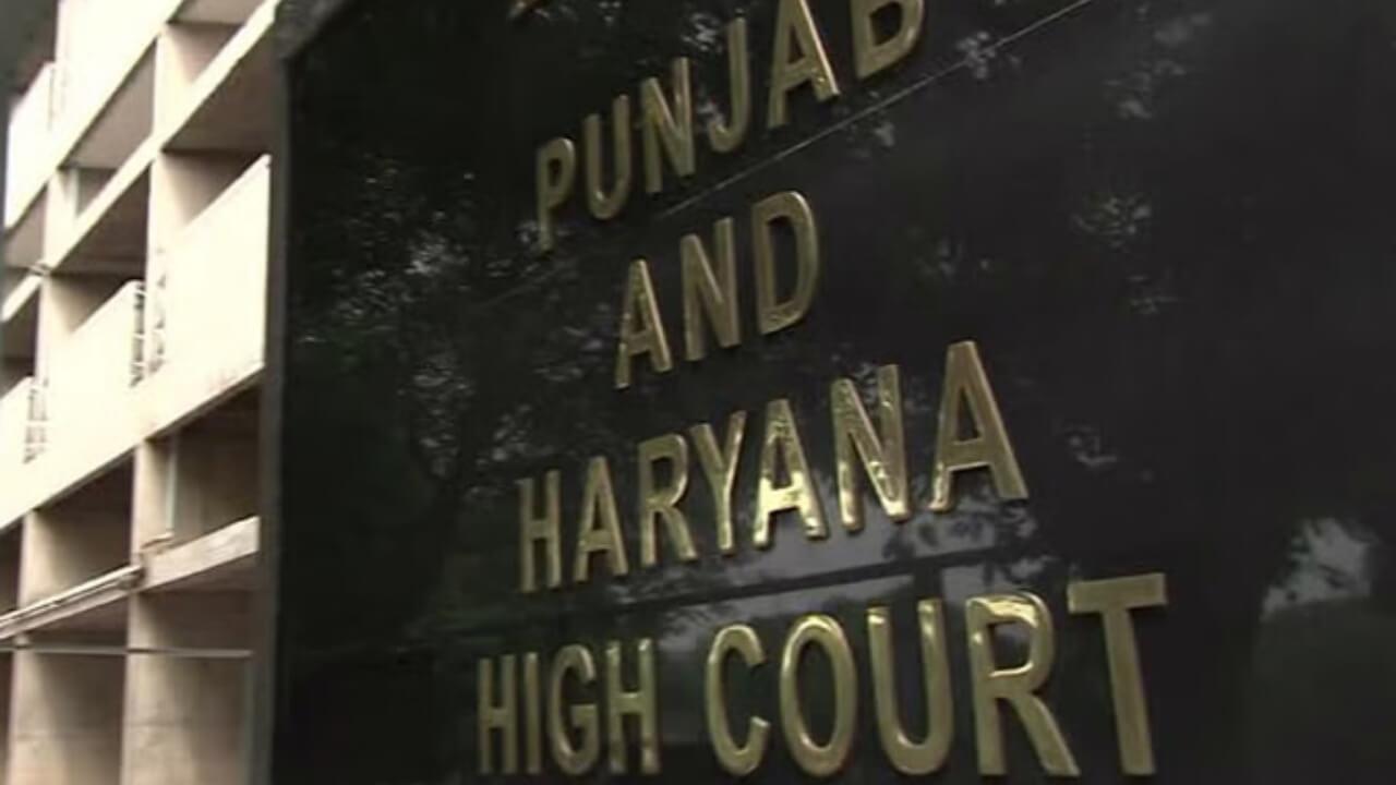 हरियाणा में 370 पटवारियों की भ्रष्टाचार सूची लीक, तीन अधिकारियों पर चार्जशीट, सरकार ने हाईकोर्ट को दी जानकारी