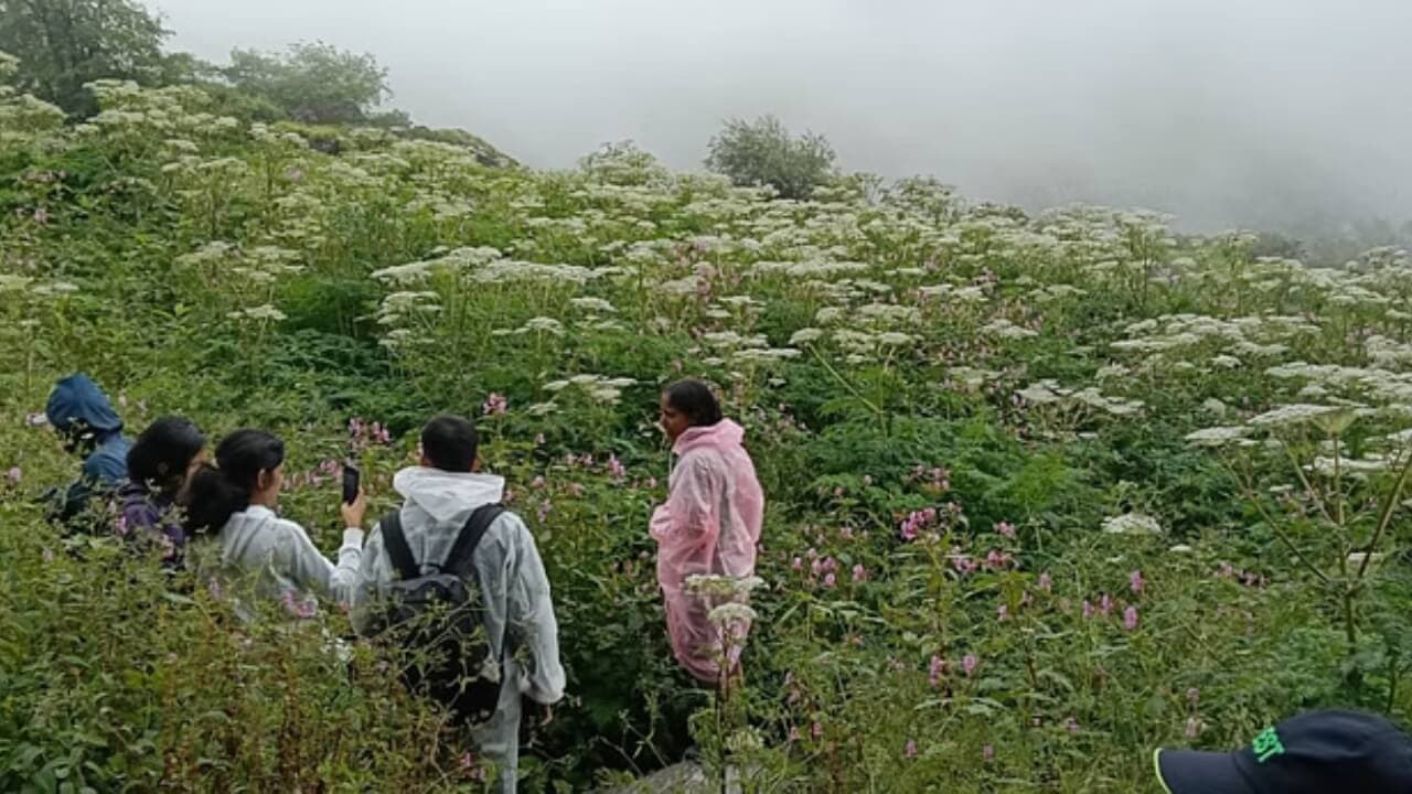 Valley of Flowers: 31 अक्तूबर को बंद हो जाएगी फूलों की घाटी, पर्यटकों की संख्या में आई कमी