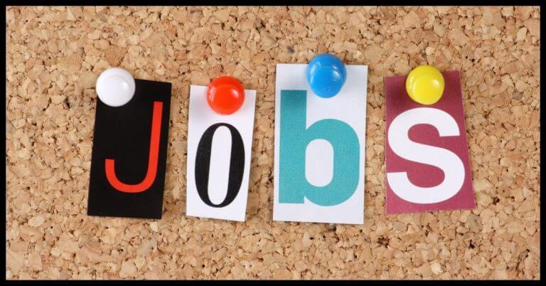 सरकारी नौकरी: AMC ने निकाली 572 पदों पर भर्ती, 23 जनवरी तक भरें ऑनलाइन फॉर्म