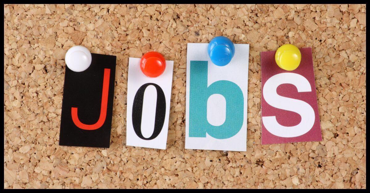 सरकारी नौकरी: AMC ने निकाली 572 पदों पर भर्ती, 23 जनवरी तक भरें ऑनलाइन फॉर्म