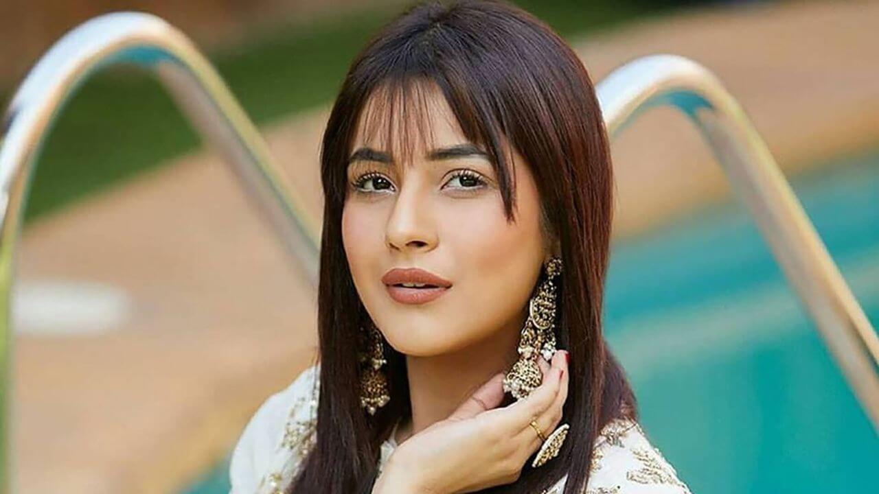 नाम, शोहरत और दौलत सब कुछ होने के बाद भी थेरेपी ले रही हैं शहनाज गिल, आखिर क्यों?