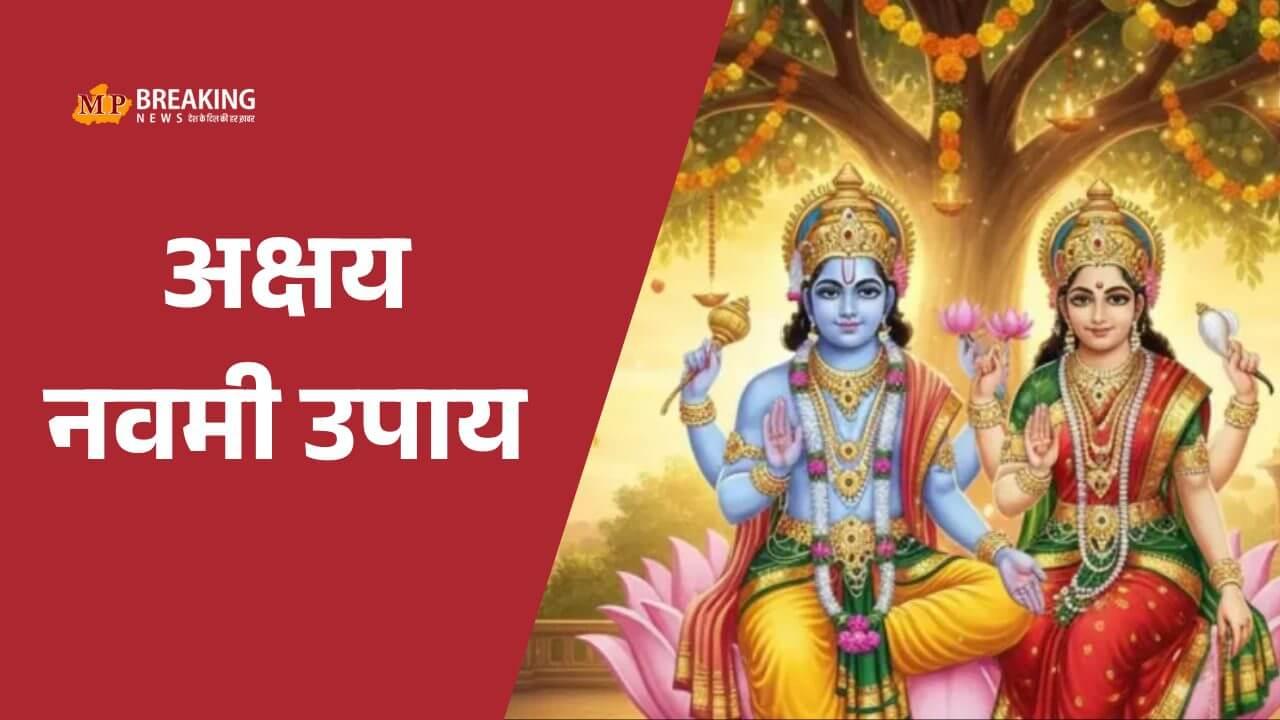 आंवला नवमी 2025: धन-समृद्धि और अक्षय पुण्य के लिए करें ये विशेष उपाय, लक्ष्मी जी को इस विधि से करें प्रसन्न, करेंगी असीम कृपा