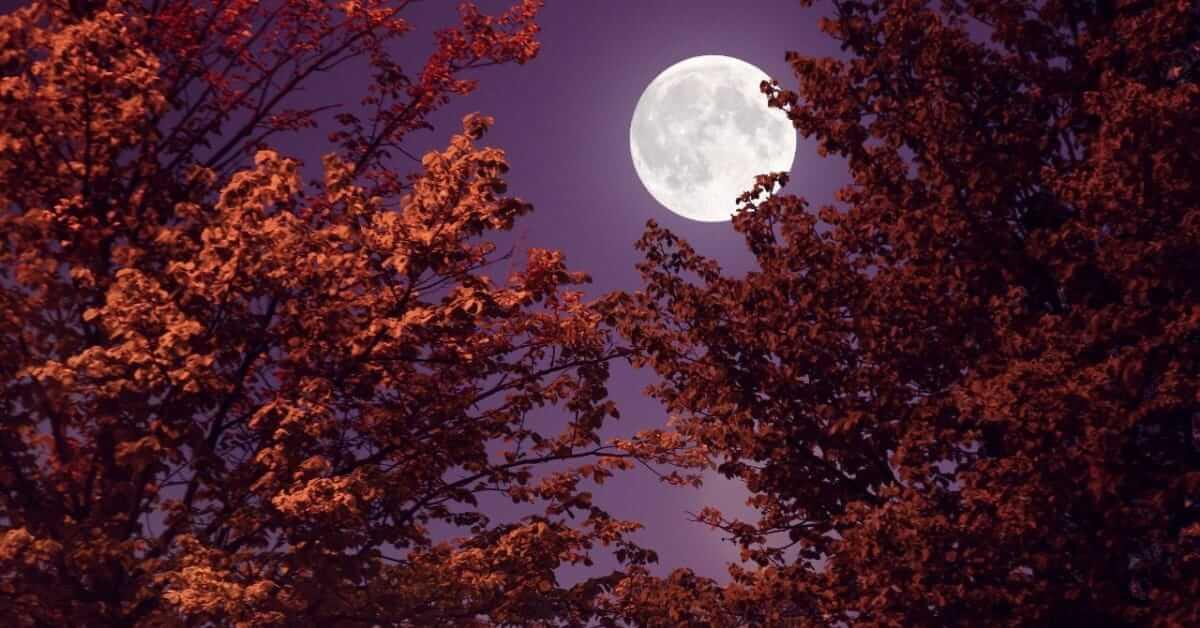 शरद पूर्णिमा के दिन शिवलिंग पर अर्पित करें ये चीजें, बन जाएंगे बिगड़े काम, मजबूत होगी आर्थिक स्थिति