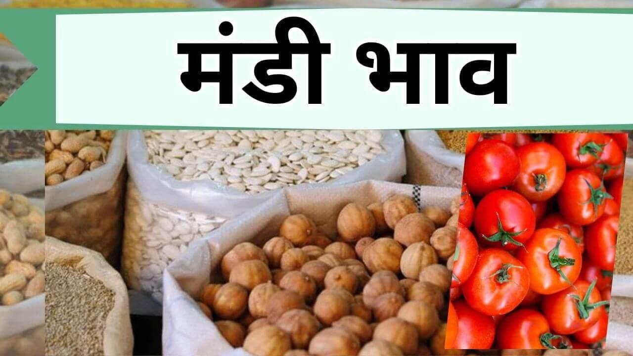 आज 3 अक्टूबर 2025 की मंडी में टमाटर की कीमतों में उछाल, किसानों को मिलेगा फायदा