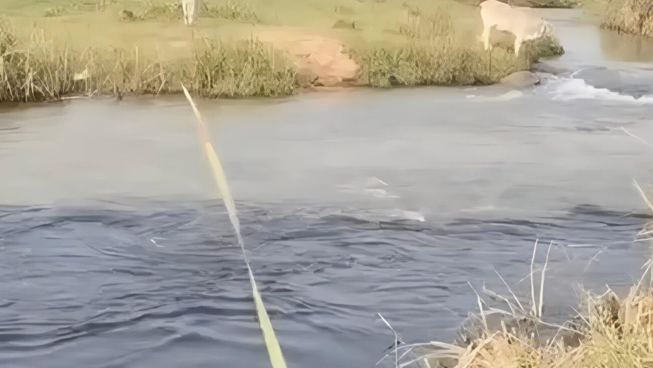 रिलायंस-NCL का कोयला-युक्त काला पानी जीवनदायनी काचन नदी में, 30 गांवों के लोगों के स्वास्थ्य पर खतरा