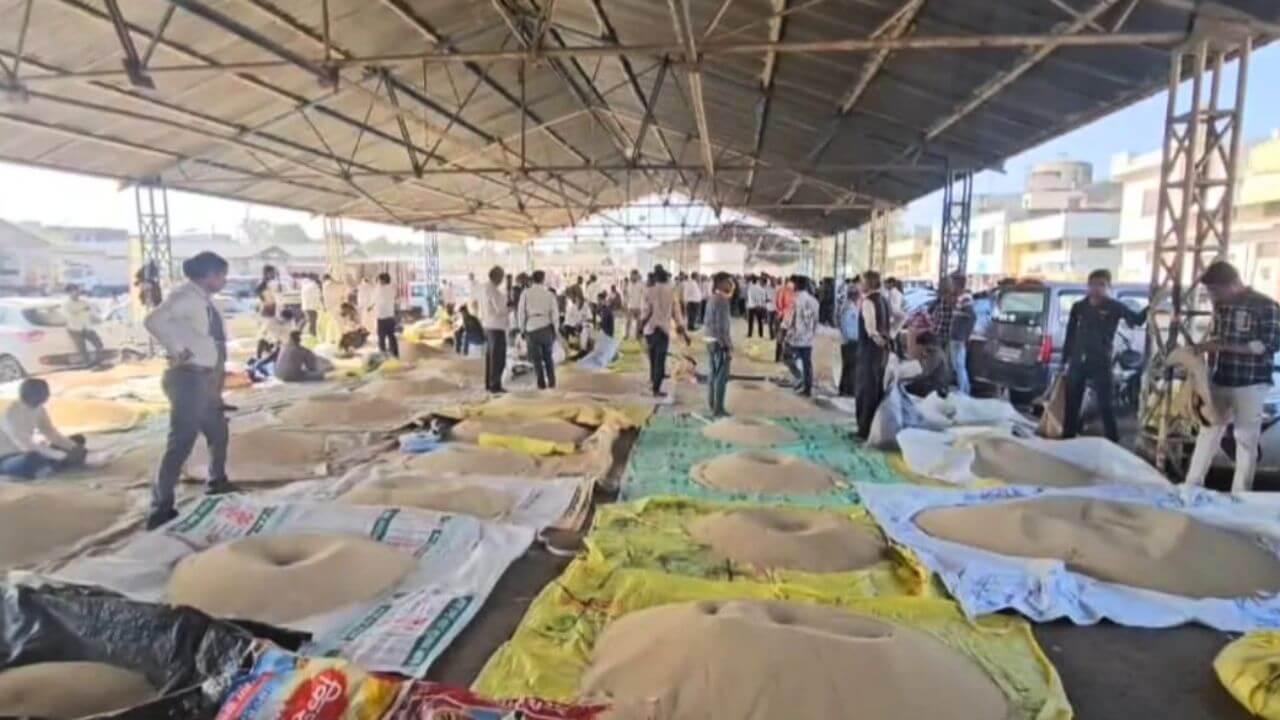 दो दिन में ही 2 लाख प्रति क्विंटल से घटकर डेढ़ लाख हुआ पोस्त का भाव, किसानों में आक्रोश
