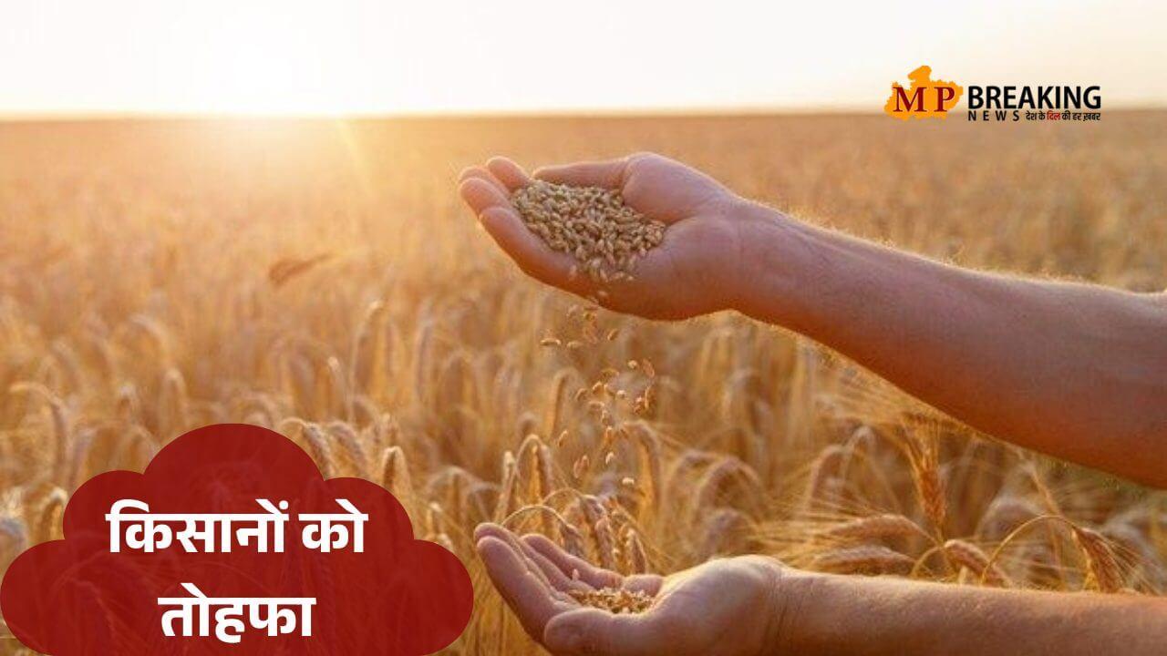 किसानों को बड़ी राहत, सरकार ने बढ़ाई गेहूं के प्रमाणित बीज पर सब्सिडी, सत्यापन की अनिवार्यता पर बड़ा कदम