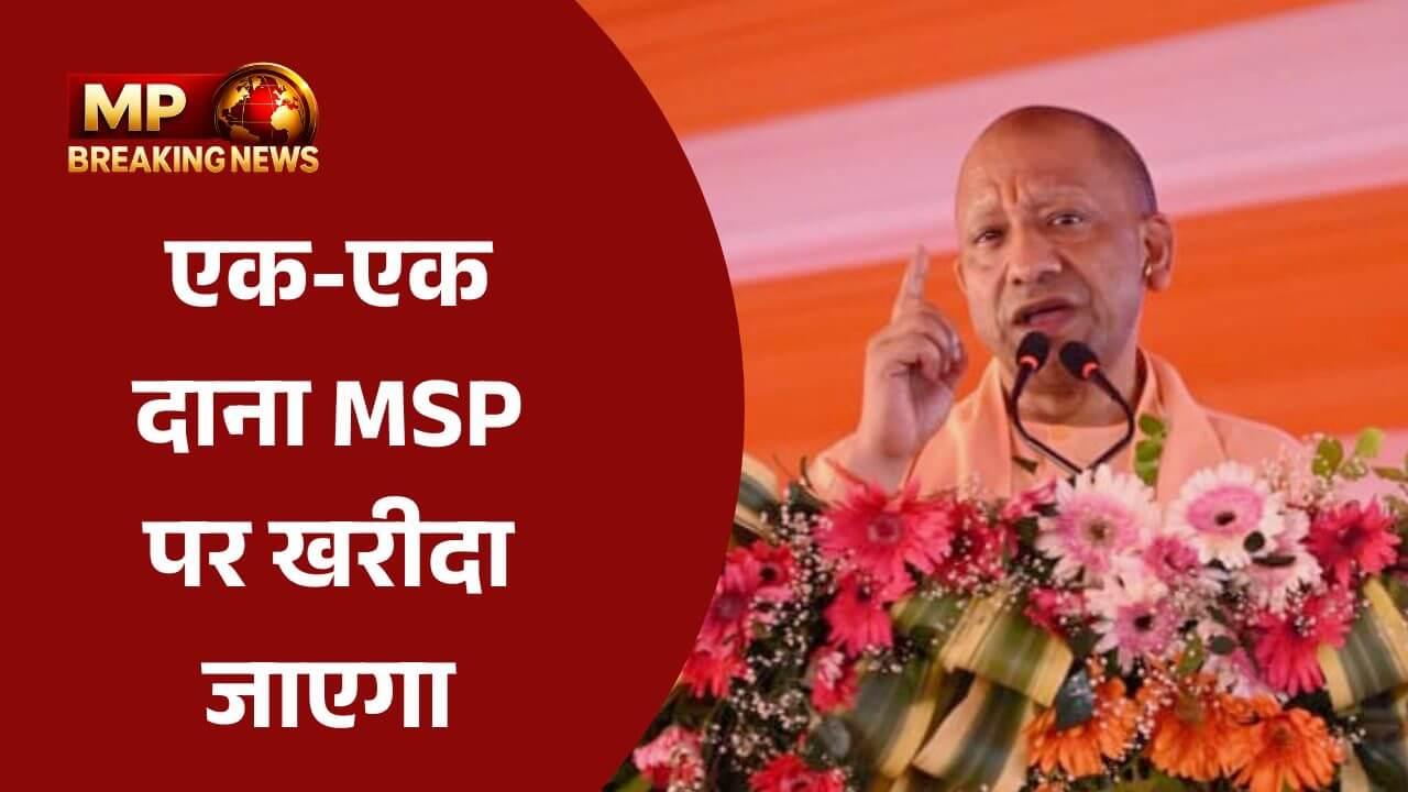 यूपी में धान खरीद की रफ्तार तेज, किसानों को ₹545 करोड़ का भुगतान, बोले सीएम योगी “एक-एक किसान को समय से उसका हक मिलेगा”