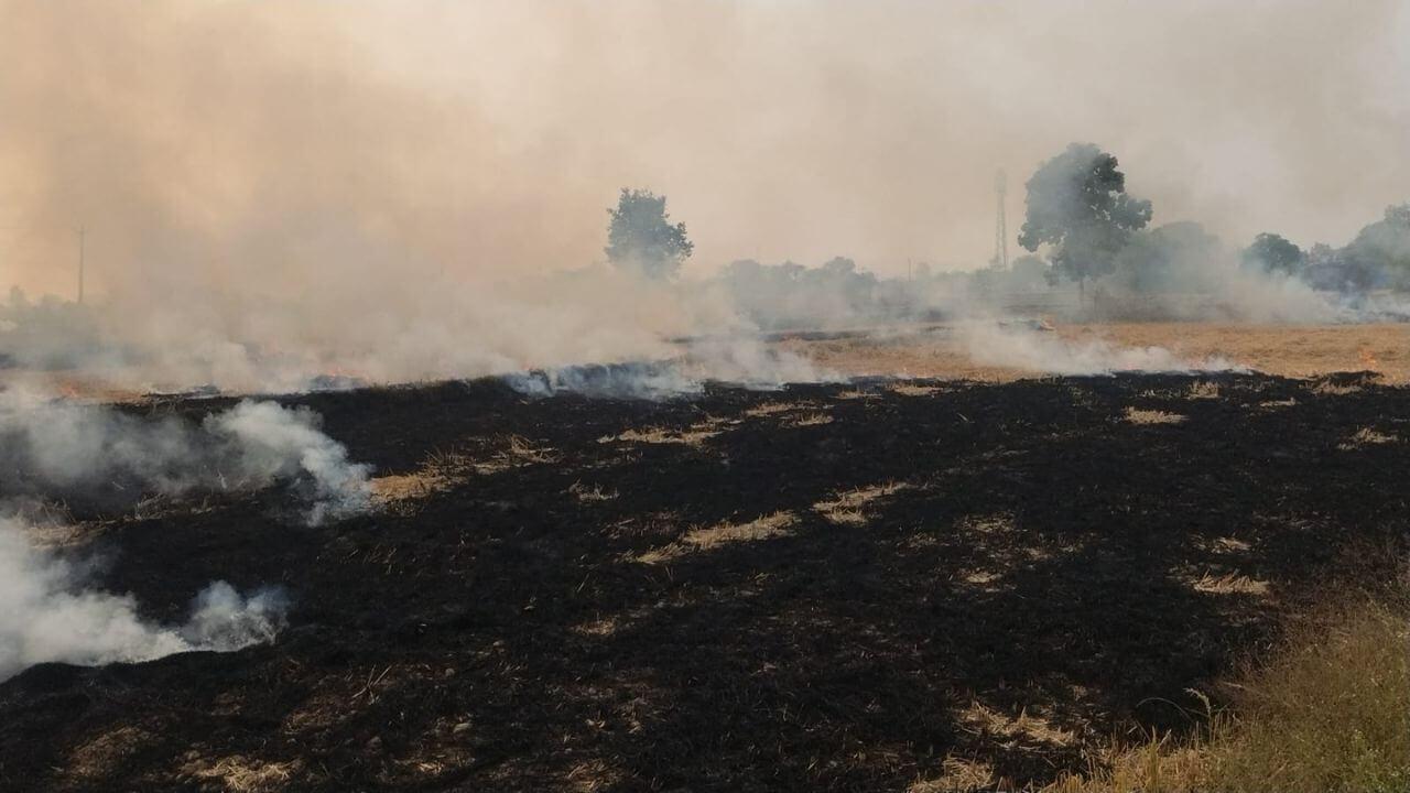 पराली जलाना प्रतिबंधित, आदेश का उल्लंघन करना 11 किसानों को पड़ा भारी, जिला प्रशासन ने लगाया जुर्माना