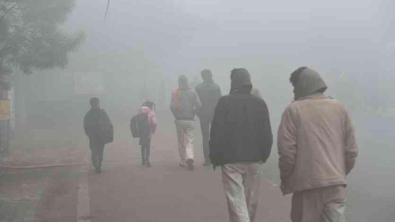 शीतलहर से बचाव के लिए सरकार ने जारी की एडवाइजरी, बताये  Do’s & Don’ts , अधिकारियों को निर्देश