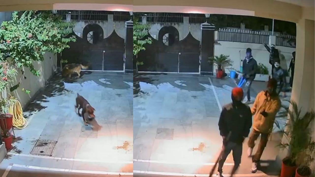 दो खूंखार कुत्ते, फिर भी घर में हुई लाखों रुपए की चोरी, चोरों ने इस तरकीब से दिया अंज़ाम