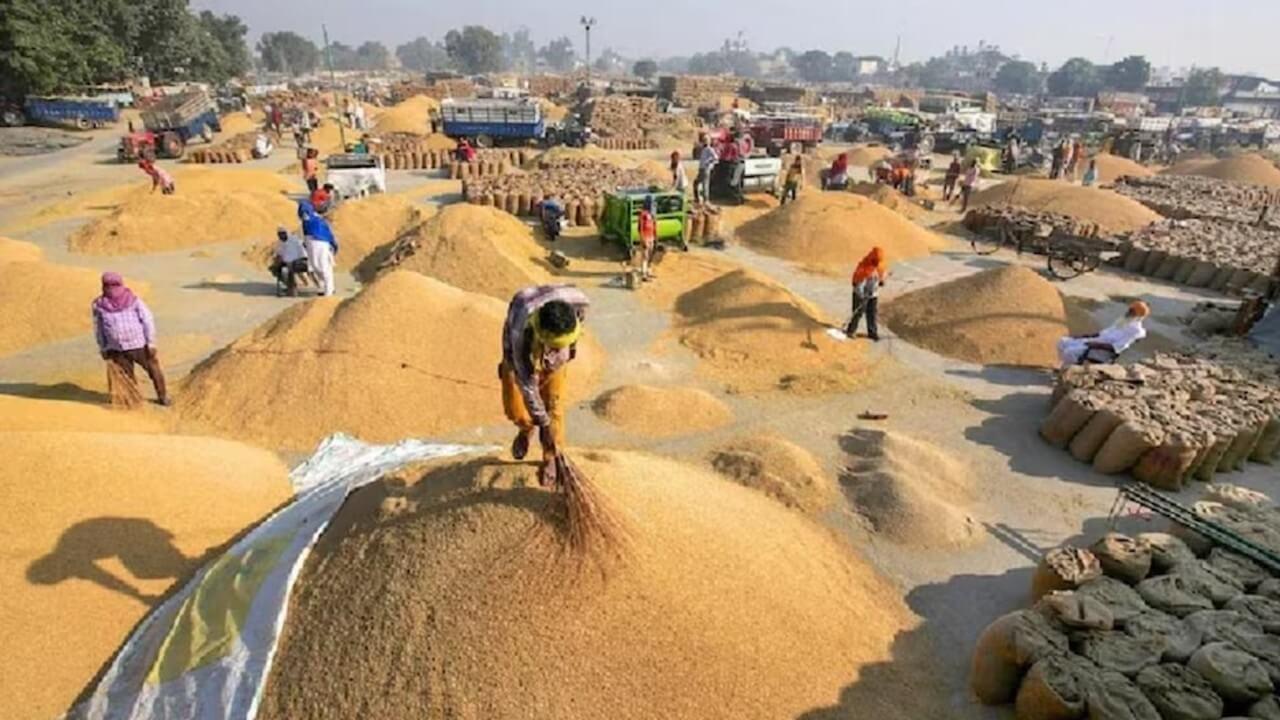 महासमुंद धान खरीदी में अव्वल: 10 लाख मीट्रिक टन की रिकॉर्ड खरीदी, अवैध परिवहन पर कार्रवाई में भी प्रदेश में नंबर वन
