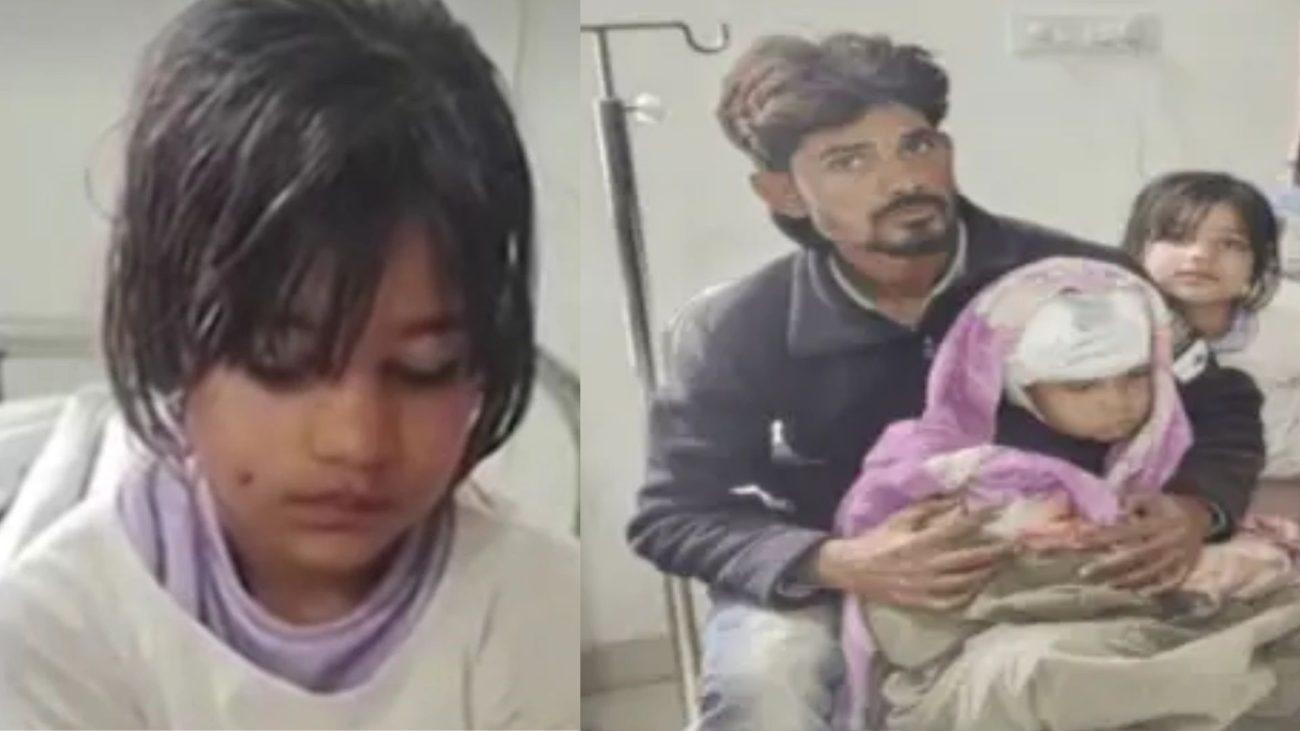 8 साल की बहन ने भाई के लिए लगाई जान की बाजी! आवारा कुत्ते से भाई को बचाया, खून बहने पर टी-शर्ट उतारकर सिर पर बांधी