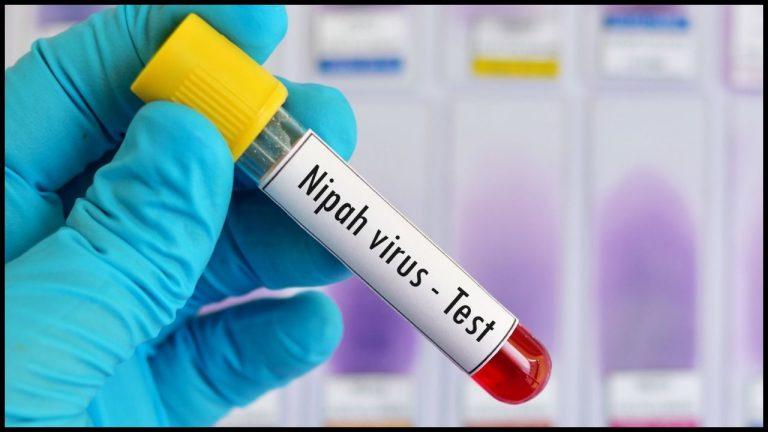पश्चिम बंगाल में मिले निपाह वायरस के 2 संदिग्ध मरीज, केंद्र सरकार अलर्ट, विशेषज्ञों की टीम भेजी गई