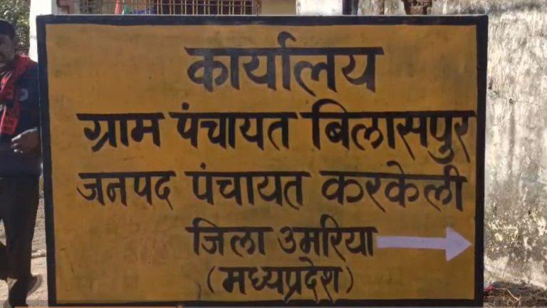 उमरिया: अवैध शराब के जहरीले अवशेष खाने से 5 गायों की मौत, प्रशासन की कार्यप्रणाली पर उठे गंभीर सवाल