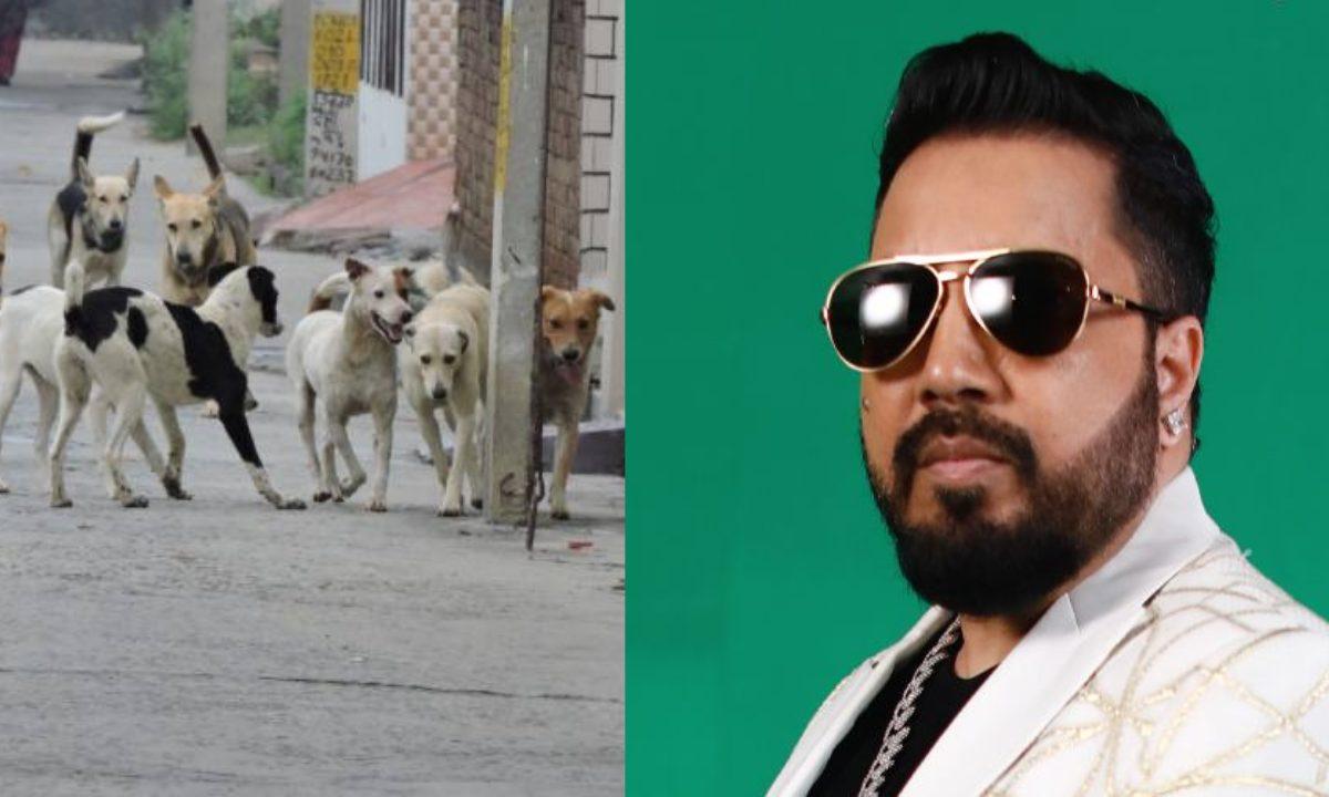 आवारा कुत्तों के लिए मशहूर सिंगर मीका सिंह ने दिखाई दरियादिली, 10 एकड़ जमीन दान करने को तैयार, सुप्रीम कोर्ट से की ये अपील