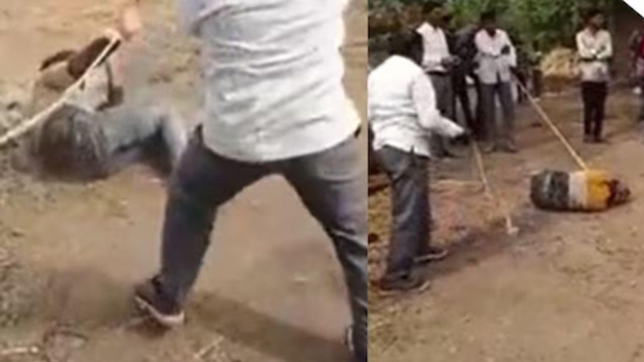 शादीशुदा प्रेमिका से मिलने गया युवक, परिजनों ने रस्सी से बांधकर पीटा, 5 आरोपी गिरफ्तार