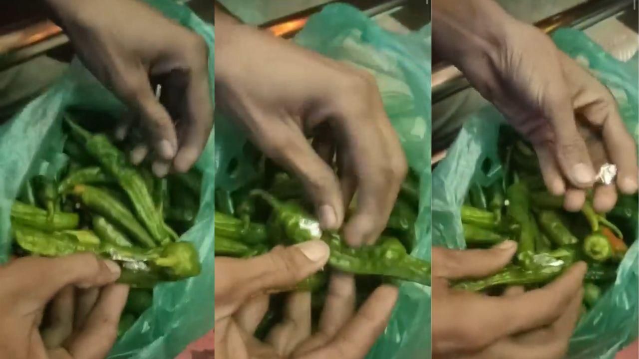 हरी मिर्च में ड्रग्स! तस्करी का नया तरीका देख चौंक गए नारकोटिक्स अधिकारी, बस के माध्यम हो रही थी सप्लाई