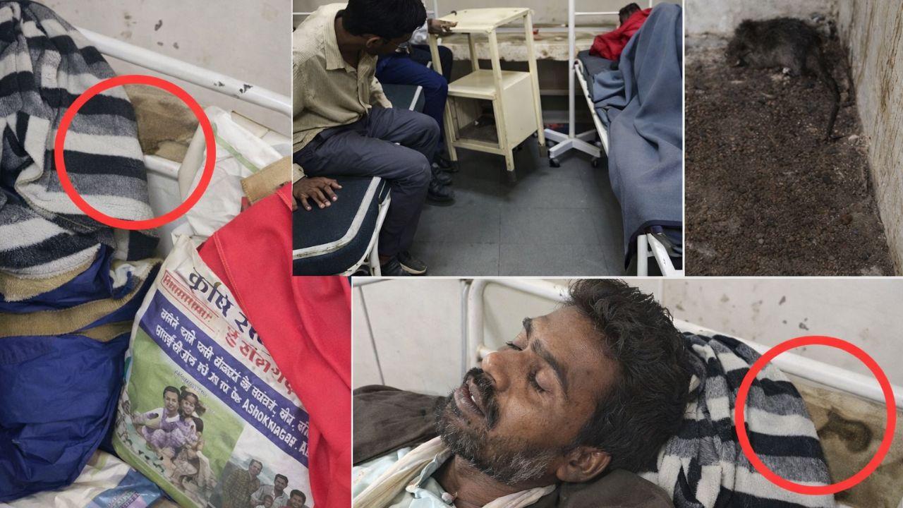 हद हो गई! अस्पताल में मरीजों के सिर-पैर तक पहुंच रहे चूहे, जान पर बना खतरा