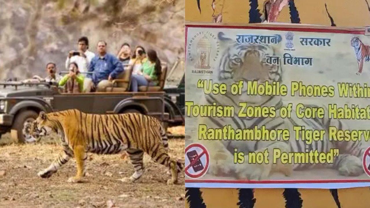 चार प्रमुख टाइगर रिजर्व में मोबाइल से रील और वीडियो बनाने पर लगा प्रतिबंध, नियम तोड़ने पर जुर्माना और FIR की चेतावनी