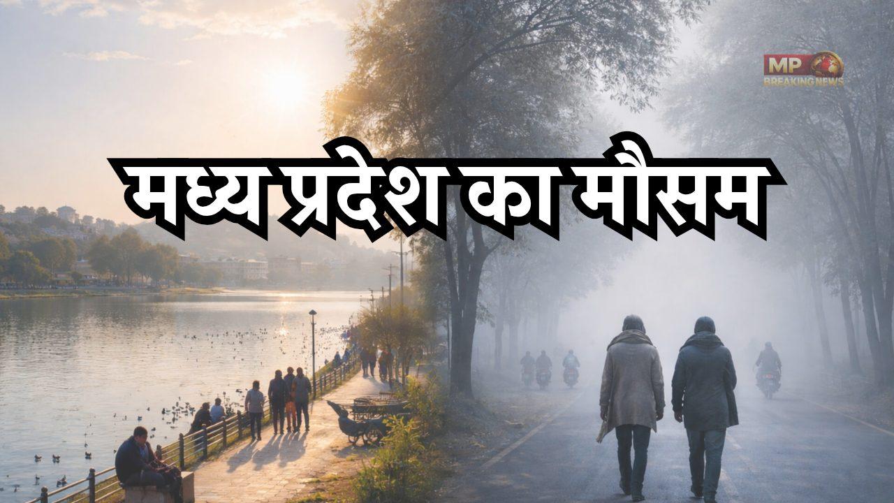 मध्य प्रदेश में मौसम का मिजाज फिर बदलेगा, दो दिन की राहत के बाद 13 फरवरी से लौटेंगी सर्द हवाएं! जानें भोपाल-इंदौर का हाल