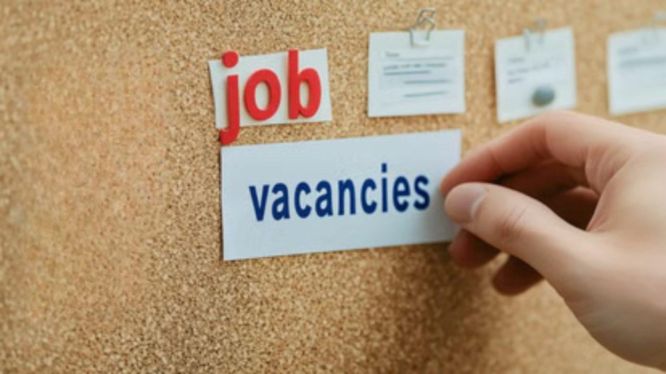 बुंदेलखंड यूनिवर्सिटी में प्रोफेसर समेत 19 टीचिंग पदों पर निकली भर्ती, 14 मार्च 2026 तक करें आवेदन