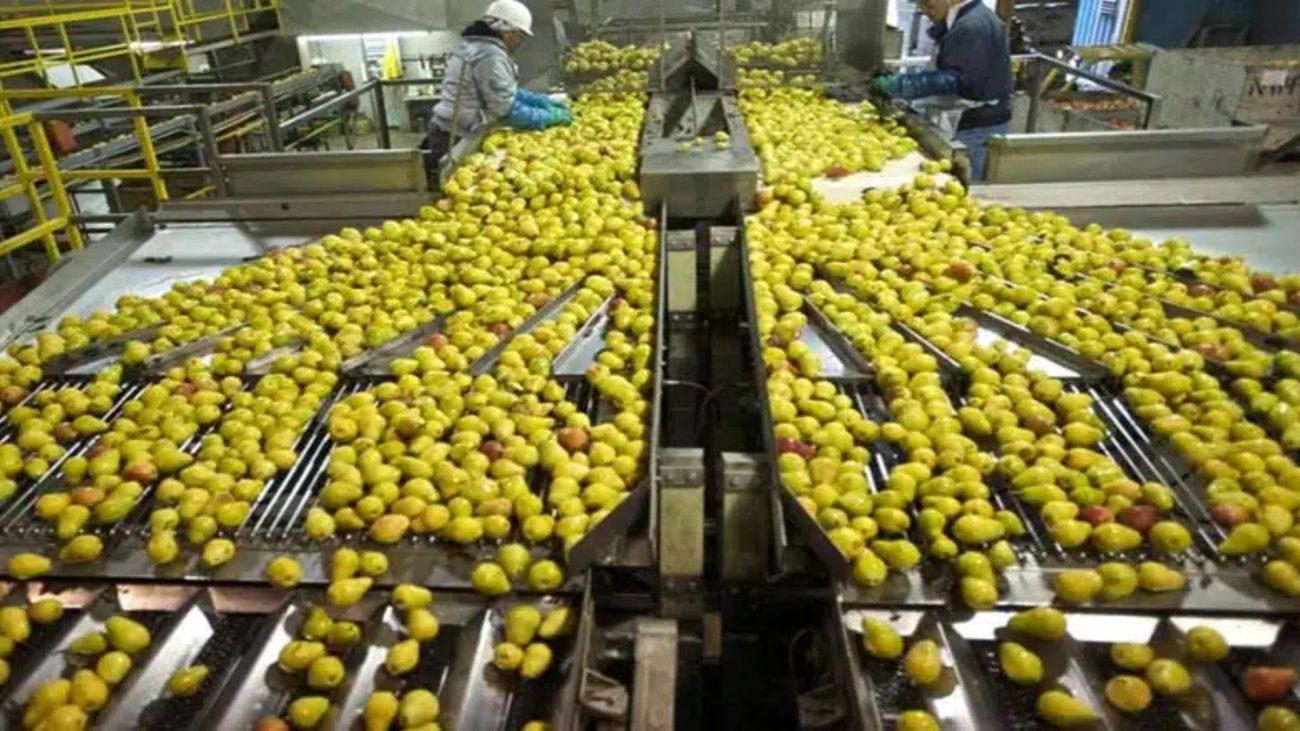 इंदौर में 6 फरवरी 2026 से तीन दिवसीय ग्रेनेक्स इंडिया प्रदर्शनी, चीन-तुर्की समेत कई देशों की 200 कंपनियां दाल-अनाज की मशीनरी का करेंगी प्रदर्शन