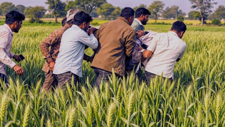 मृत्यु भोज में अचानक टूटा मधुमक्खियों का कहर, एक की मौत, 20 से ज्यादा लोग घायल