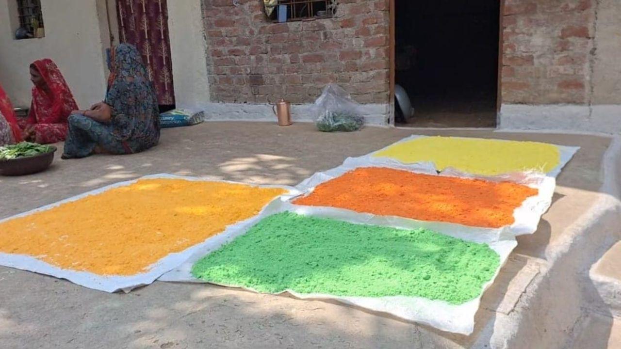 फूलों और सब्जियों से बन रहा गुलाल, सागर की होली होगी सुरक्षित