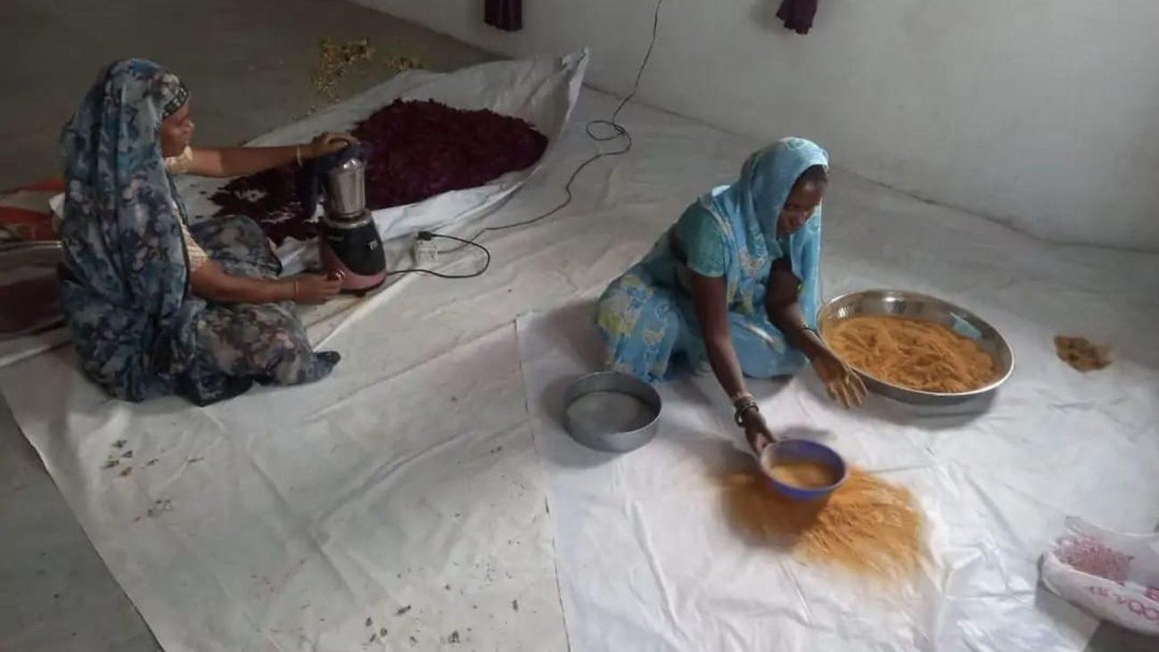 आजीविका होली मेला, बुरहानपुर की महिलाएं बना रहीं फूलों से गुलाल, बन रहीं उद्यमी, 150 रूपये तक बिच रहा एक पैकेट