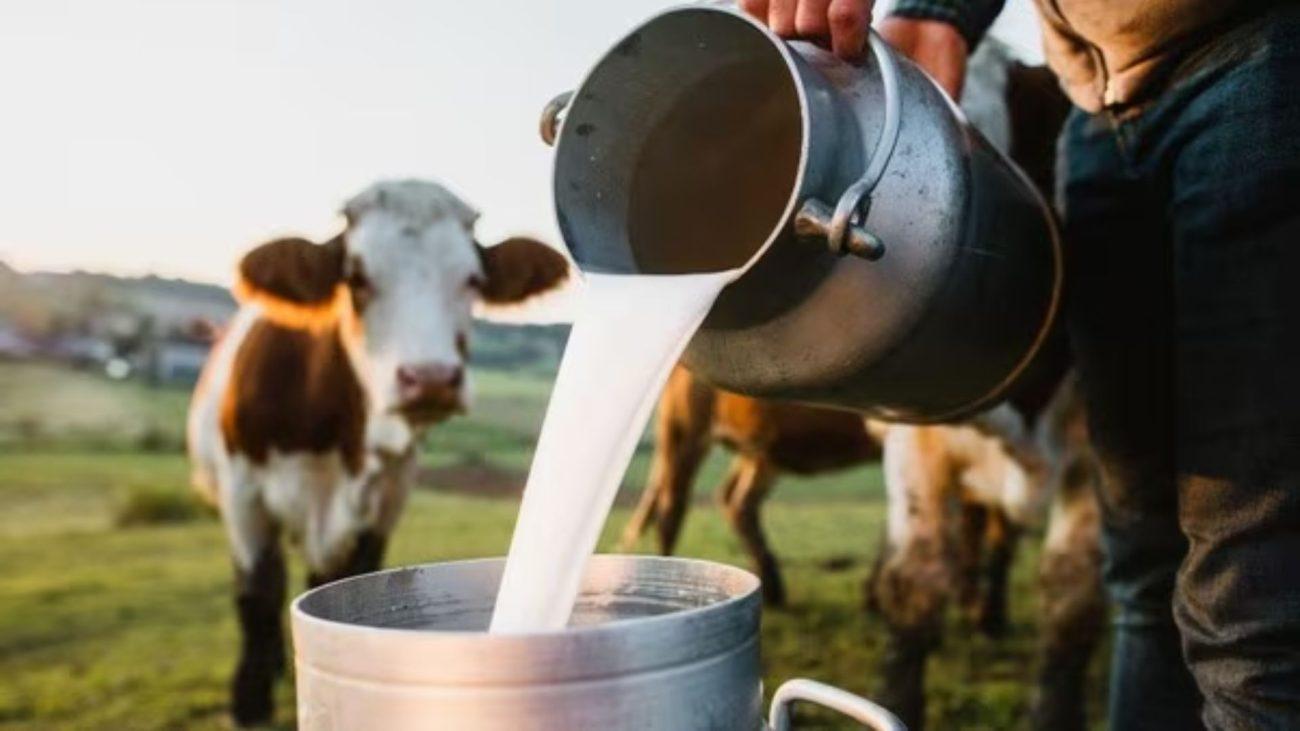 मध्य प्रदेश में कल से दूध ₹5 लीटर तक होगा महंगा, इंदौर में ₹3 और धार में ₹4 बढ़ेंगे दाम, सांची के रेट नहीं बदले