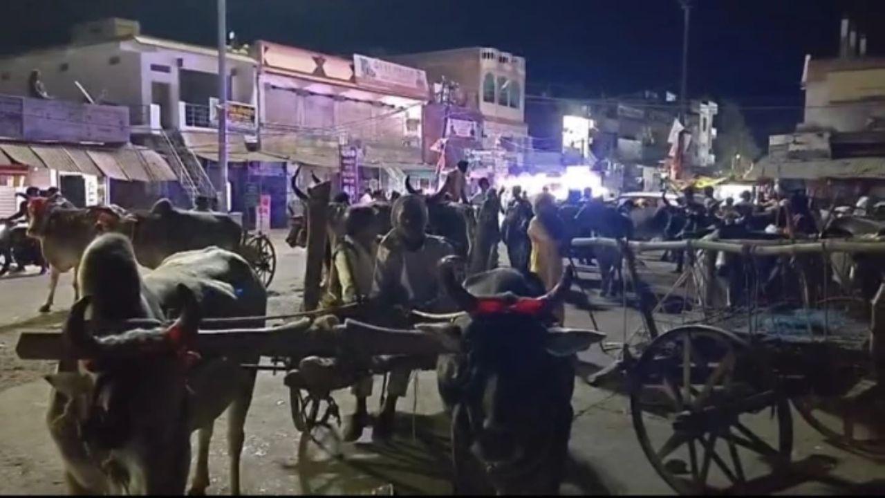 ईंधन संकट के दौर में लग्जरी कारों को छोड़ 30 बैलगाड़ियों पर निकली बारात, पन्ना की इस शादी ने सबको चौंका दिया