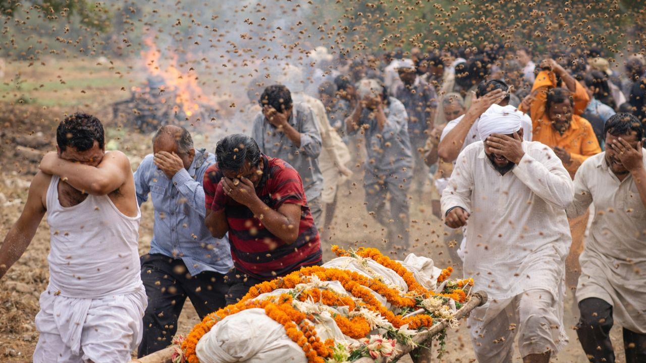 अंतिम संस्कार में अचानक टूटा कहर: मधुमक्खियों के हमले से मची भगदड़, अर्थी छोड़ भागे लोग