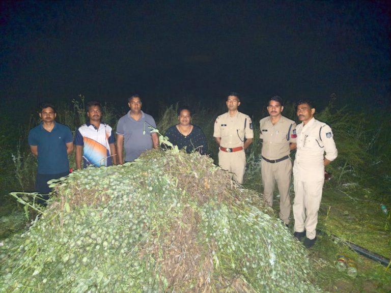 अवैध अफीम की खेती पर मध्यप्रदेश पुलिस की बड़ी कार्रवाई, 3 करोड़ रुपये से अधिक की फसल जब्त