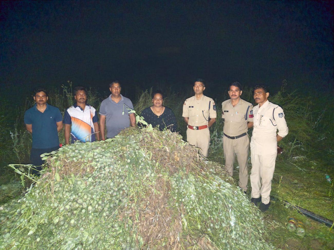 अवैध अफीम की खेती पर मध्यप्रदेश पुलिस की बड़ी कार्रवाई, 3 करोड़ रुपये से अधिक की फसल जब्त