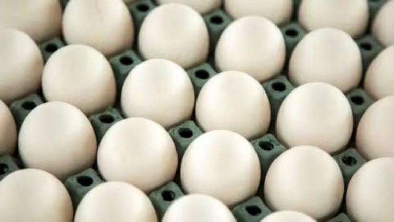 अब अंडों पर भी लिखना होगी एक्सपायरी डेट, योगी सरकार का बड़ा फैसला, 1 अप्रैल से नियम प्रभावी