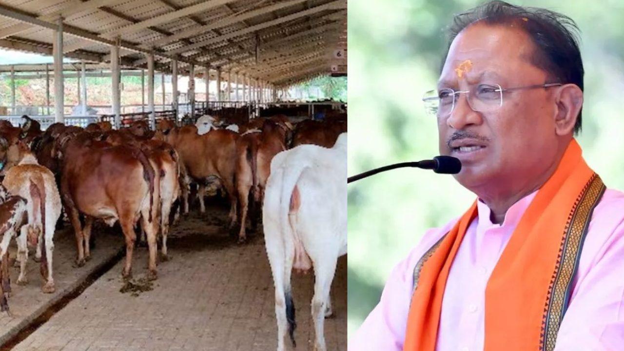 छत्तीसगढ़ में गौवंश संरक्षण के लिए गौधाम योजना की शुरुआत, सीएम विष्णु देव साय 14 मार्च को बिलासपुर से करेंगे 29 गौधामों का शुभारंभ