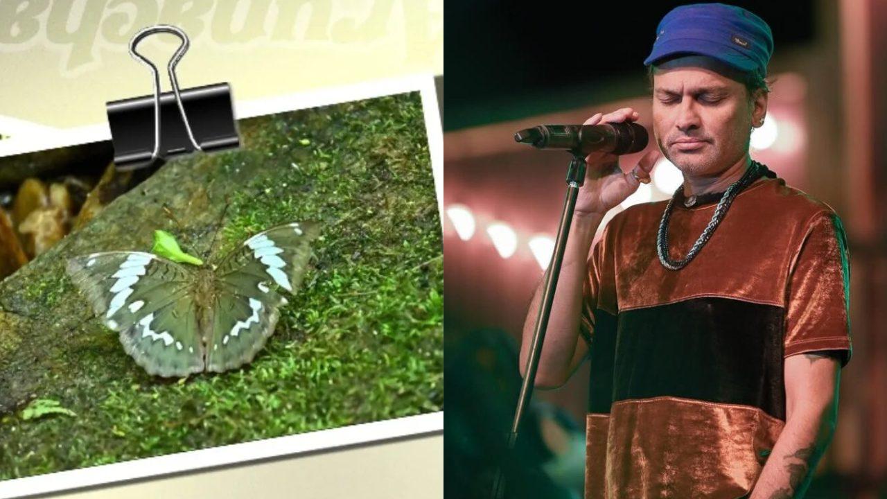 अरुणाचल प्रदेश में तितली की नई प्रजाति की खोज, मशहूर गायक जुबीन गर्ग के नाम पर रखा गया नाम