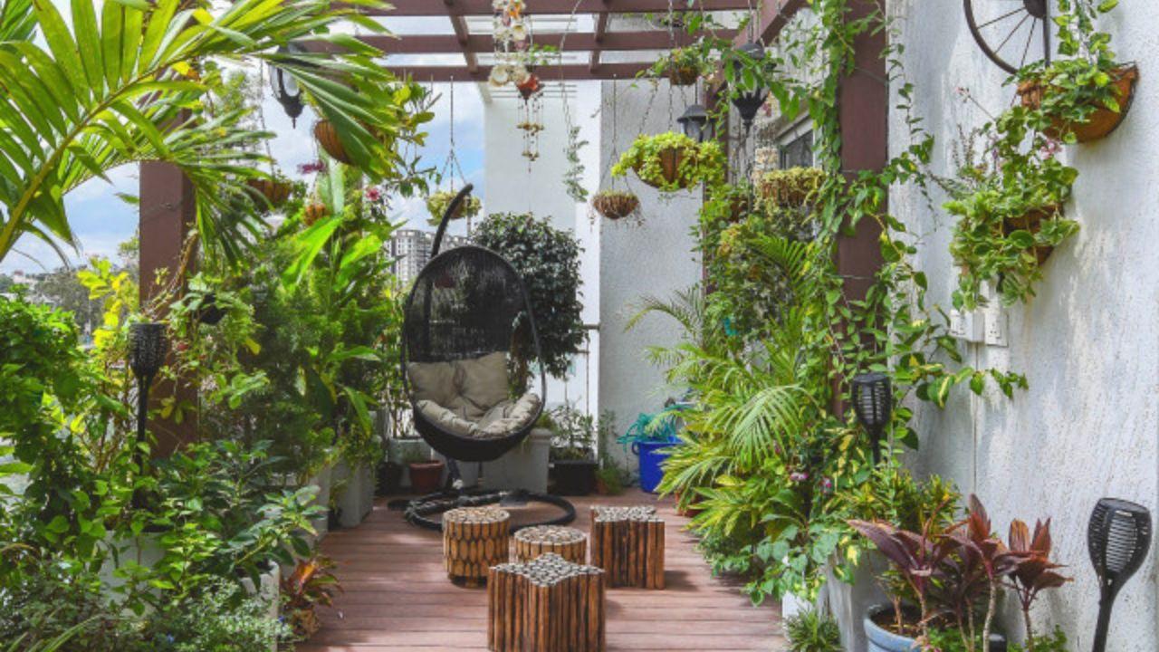 गर्मी में AC जैसी ठंडी रहेगी आपकी बालकनी, इन 5 बेलों से मिलेगा रॉयल गार्डन लुक