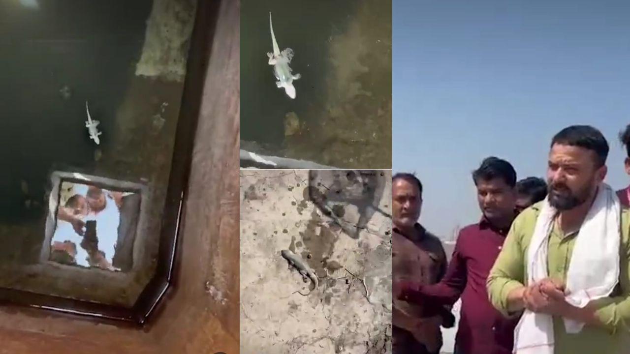 भागीरथपुरा के बाद भी नहीं सुधरा ग्वालियर नगर निगम प्रशासन, PM AWAS की पानी टंकी में मिली मरी हुई छिपकलियां, लोग दहशत में