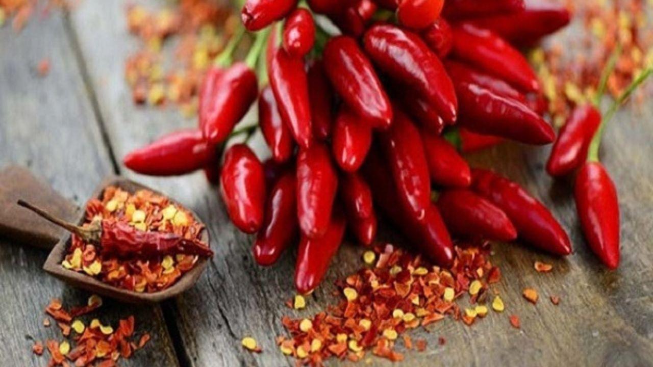बार-बार हो रहा घाटा? लाल मिर्च के ये उपाय बदल देंगे आपका बिजनेस