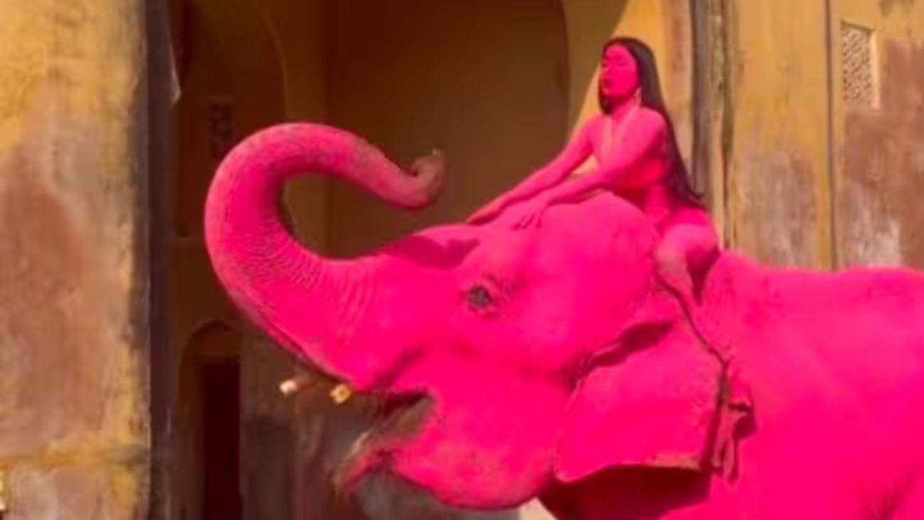 फोटोशूट के लिए गुलाबी रंगे गए हाथी की हुई मौत, रूसी इनफ्लुएंसर पर अब वन विभाग करेगा कार्रवाई