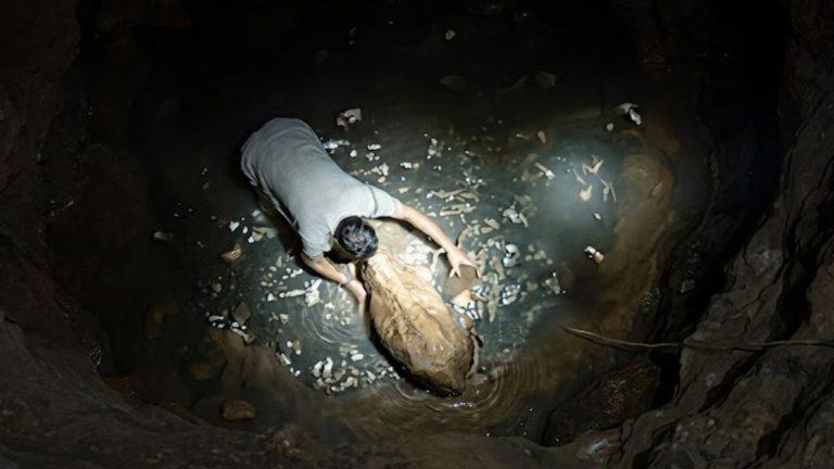 मऊगंज: 100 फीट गहरे कुएं में कूदे थाना प्रभारी, जान जोखिम में डालकर गाय को निकाला बाहर